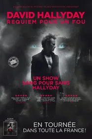GAGNEZ VOS PLACES POUR LE CONCERT DE DAVID HALLYDAY