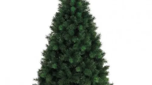 BAYEUX : SAPINS DE NOËL : LE FRUIT DU BROYAGE DISTRIBUÉ AUX HABITANTS