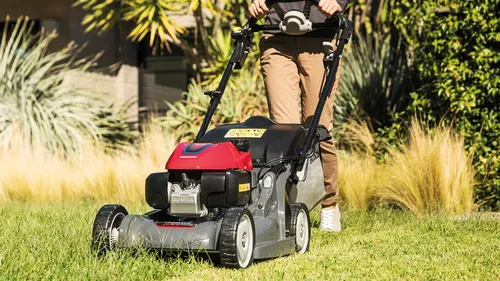 Vire Normandie : Vos tontes seront ramassées à cheval