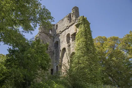 Suivez le Guide avec Matthieu Balusson (Visite de la ville de Vire)