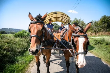 Suivez le Guide avec Olivier Faudet (Le Bocage à cheval)