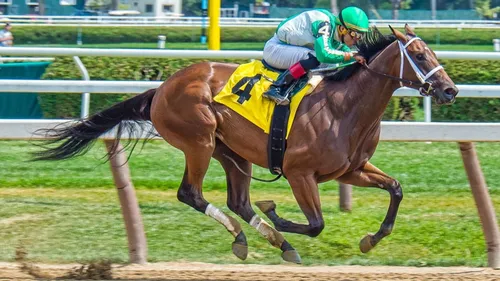 Pronostics hippiques du 3 au 4 mai 2022