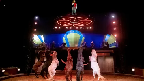 La famille Gruss se mobilise pour les victimes du séisme en Turquie...