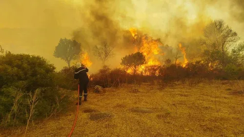 Les incendies plongent l'Algérie dans le deuil ! 