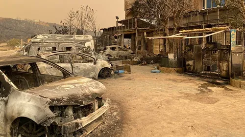 Une vague d’incendies ravageurs frappe le nord-est de l'Algérie !