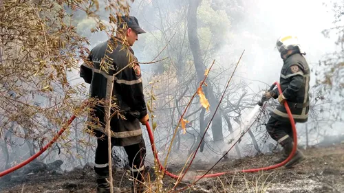 Plusieurs incendies dans la willaya de Béjaïa : 3 personnes arrêtées !