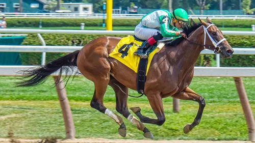 Pronostics hippiques du 30 septembre et 1er octobre 2025