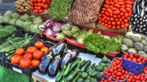 Vers la création d’une prime mensuelle de 50 euros pour favoriser...