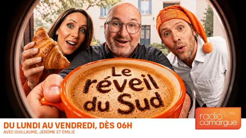 LE REVEIL DU SUD