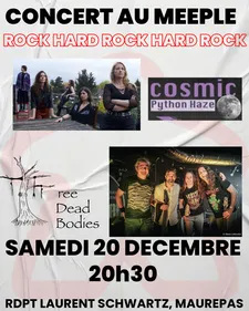 MAUREPAS (78) - Concert Rock & Hard Rock au Meeple