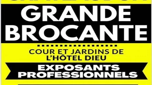 CHÂTEAUDUN - Brocante professionnelle de la maison des brocanteurs
