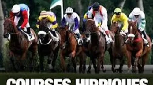 VIBRAYE (72) - Courses hippiques