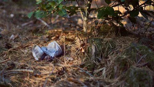 90 sacs de déchets récupérés dans la nature
