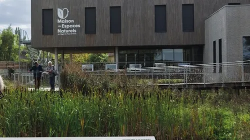 ÉCLUZELLES - Atelier : Créations sauvages