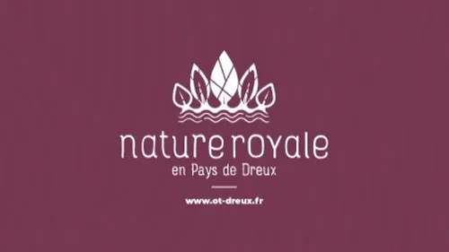 DREUX - Visite : Joly Vitrail