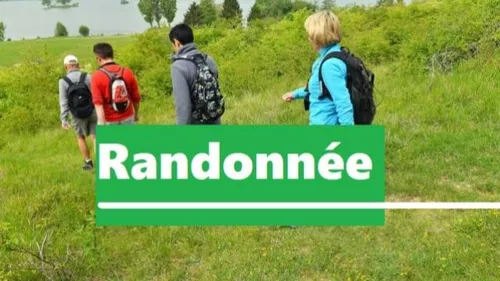 CLOYES-SUR-LE-LOIR - Randonnée pédestre de Dimanche Plein Air