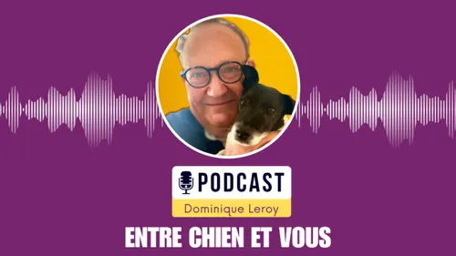 Entre chien et vous
