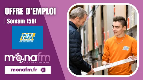 Brico Cash à Somain recrute un(e) vendeur(se) bricolage en CDD