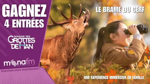 Gagnez vos entrées pour le Domaine des Grottes de Han