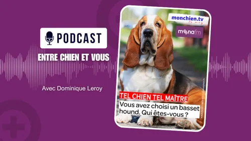 MONA FM
