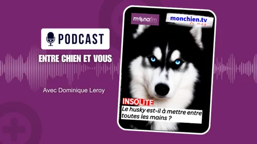 MONA FM