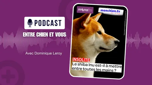 MONA FM