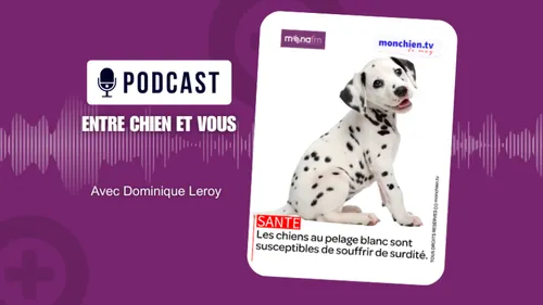 MONA FM