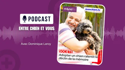 MONA FM