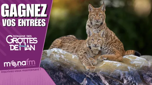 Gagnez vos entrées pour le Domaine des Grottes de Han