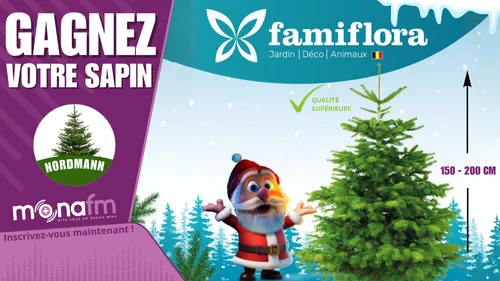 [ JEU TERMINé ]Gagnez votre sapin Nordmann 150 - 200 cm en qualité...