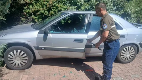 2 chiens sauvés hier dans le Pas de Calais, alors qu'ils étaient...