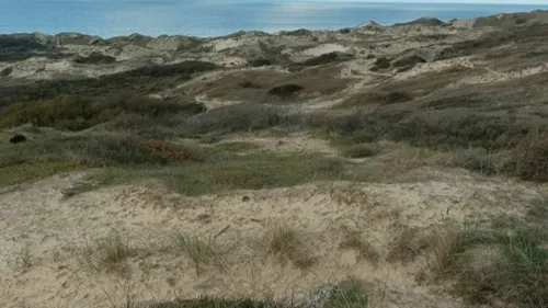 Un parapentiste gravement blessé dans la région 