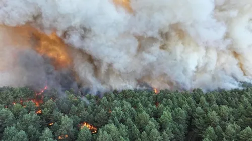 Un pompier reconnaît son implication, dans l'incendie de la forêt...