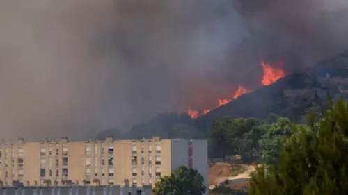 Un incendie violent touche Marseille, depuis hier après-midi.