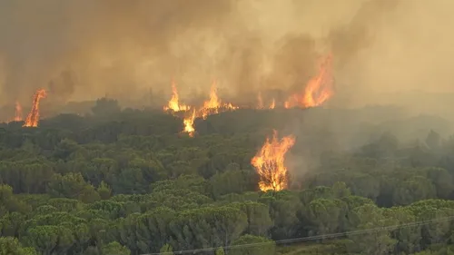 Plusieurs départs de feu dans l'Aude : un homme interpellé 