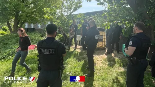 Sauvetage de moutons, par la police du Nord ! 