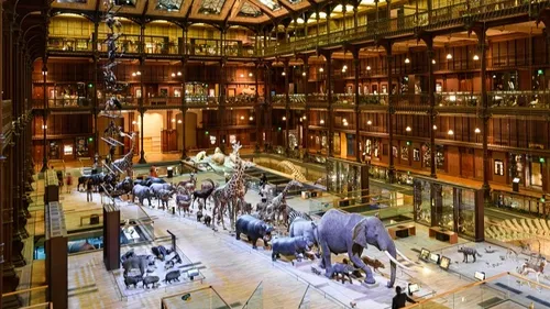 Le Muséum d'histoire naturelle cambriolé à Paris 