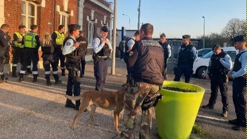 Vaste opération anti-délinquance menée dans le Nord 
