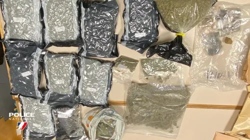 Nouvelle opération contre les narcotrafics, dans le Nord 