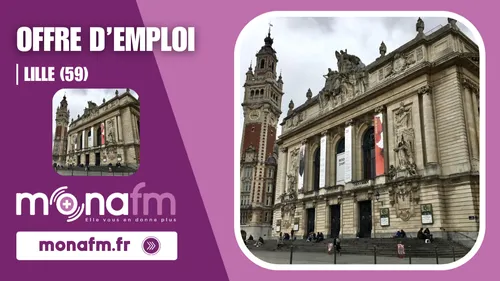 LILLE: Un-e attaché-e à la billetterie - analyse des publics et...