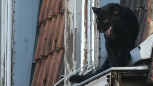 Des peines de prison avec sursis, pour les ex-propriétaires de la...