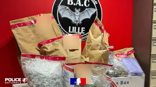 Nouvelle opération de lutte contre les narcotrafics dans le Nord 
