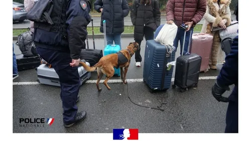 Une opération de police d'envergure, en gare de Lille Europe 
