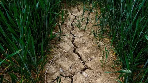 Le département du Nord placé en vigilance sécheresse renforcée 