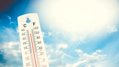 Forte chaleur : le trafic TER pourrait être perturbé dans la Région ! 