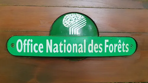 L’OFFICE NATIONAL DES FORÊTS, OU « DEMAIN PREND RACINE AUJOURD’HUI »