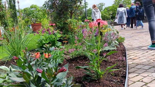 Jardin éphémère de Metz : profitez de l’édition 2024