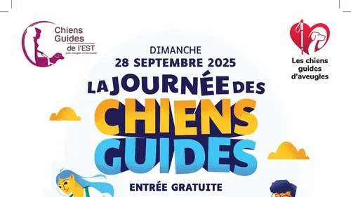 Moselle : à la découverte du monde des chiens guides 