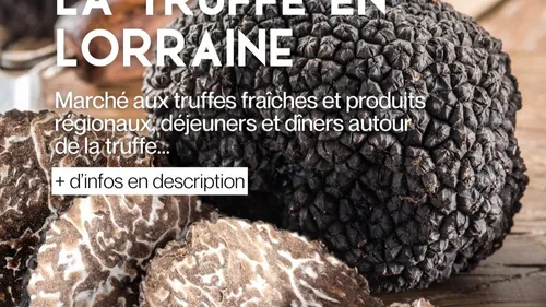 21ème Fête régionale de la Truffe : dégustations, repas, ... 