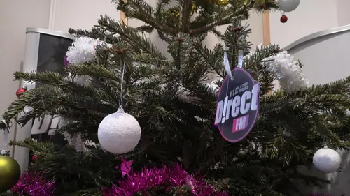 Nancy : que faire de son sapin après le fête ?